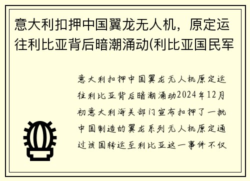 意大利扣押中国翼龙无人机，原定运往利比亚背后暗潮涌动(利比亚国民军翼龙无人机)