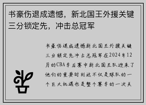 书豪伤退成遗憾，新北国王外援关键三分锁定先，冲击总冠军