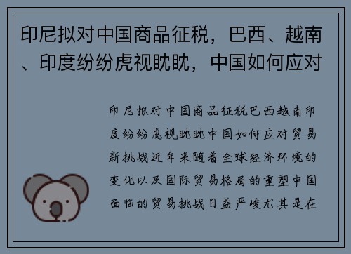 印尼拟对中国商品征税，巴西、越南、印度纷纷虎视眈眈，中国如何应对贸易新挑战？