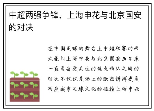 中超两强争锋，上海申花与北京国安的对决