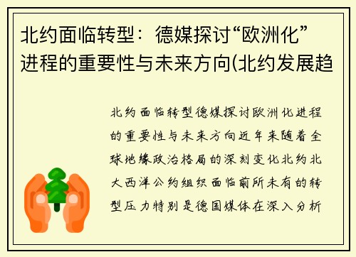 北约面临转型：德媒探讨“欧洲化”进程的重要性与未来方向(北约发展趋势)